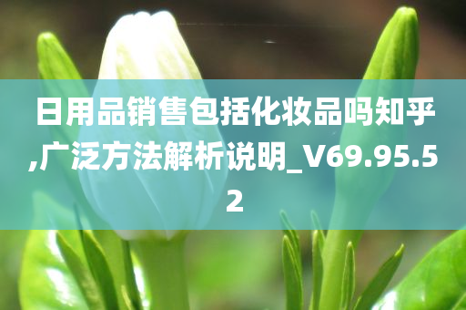 日用品销售包括化妆品吗知乎,广泛方法解析说明_V69.95.52