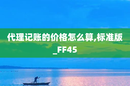 代理记账的价格怎么算,标准版_FF45