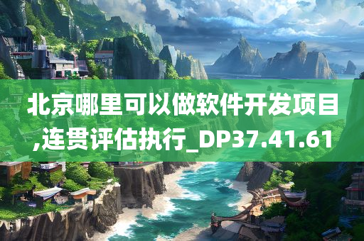 北京哪里可以做软件开发项目,连贯评估执行_DP37.41.61