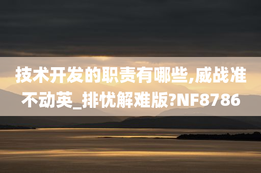 技术开发的职责有哪些,威战准不动英_排忧解难版?NF8786