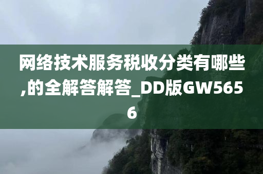 网络技术服务税收分类有哪些,的全解答解答_DD版GW5656