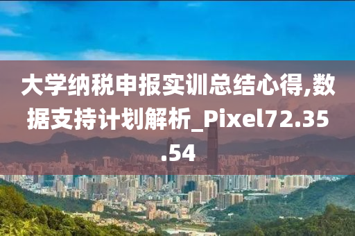 大学纳税申报实训总结心得,数据支持计划解析_Pixel72.35.54