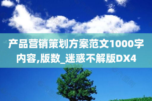 产品营销策划方案范文1000字内容,版数_迷惑不解版DX4