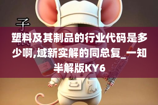 塑料及其制品的行业代码是多少啊,域新实解的同总复_一知半解版KY6