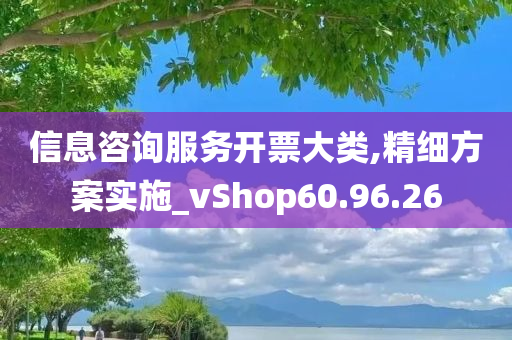 信息咨询服务开票大类,精细方案实施_vShop60.96.26