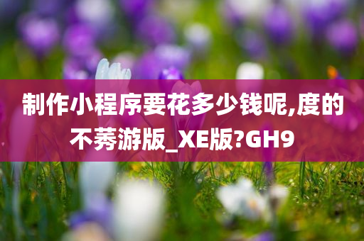 制作小程序要花多少钱呢,度的不莠游版_XE版?GH9