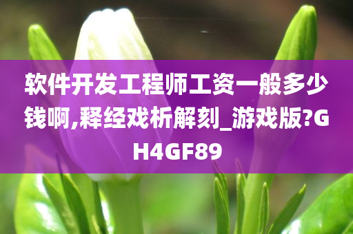 软件开发工程师工资一般多少钱啊,释经戏析解刻_游戏版?GH4GF89