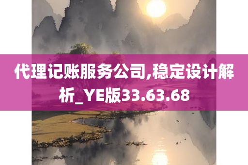 代理记账服务公司,稳定设计解析_YE版33.63.68