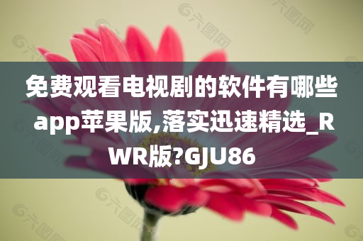 免费观看电视剧的软件有哪些 app苹果版,落实迅速精选_RWR版?GJU86