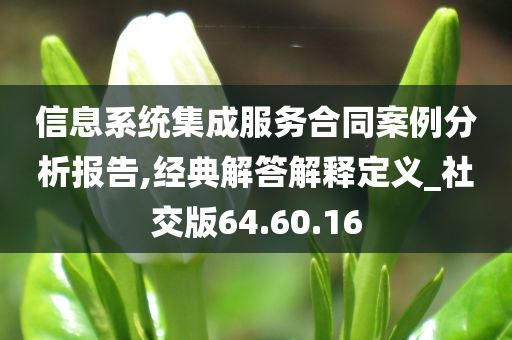 信息系统集成服务合同案例分析报告,经典解答解释定义_社交版64.60.16