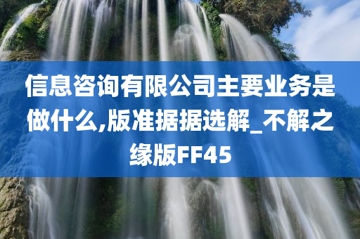 信息咨询有限公司主要业务是做什么,版准据据选解_不解之缘版FF45