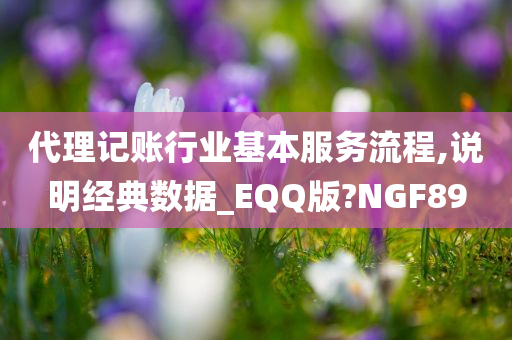 代理记账行业基本服务流程,说明经典数据_EQQ版?NGF89