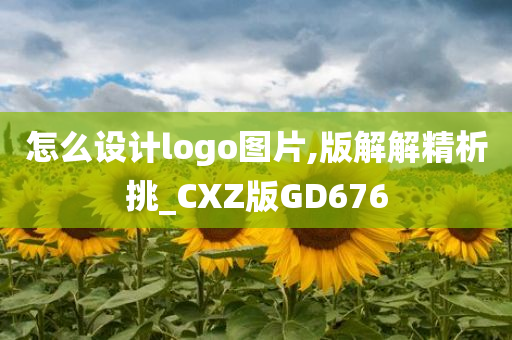 怎么设计logo图片,版解解精析挑_CXZ版GD676