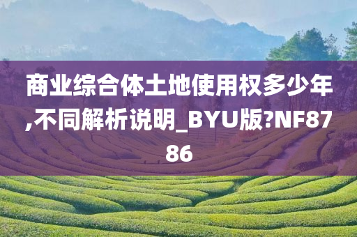 商业综合体土地使用权多少年,不同解析说明_BYU版?NF8786