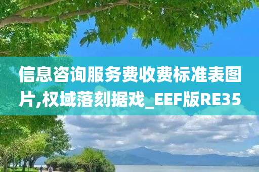 信息咨询服务费收费标准表图片,权域落刻据戏_EEF版RE35