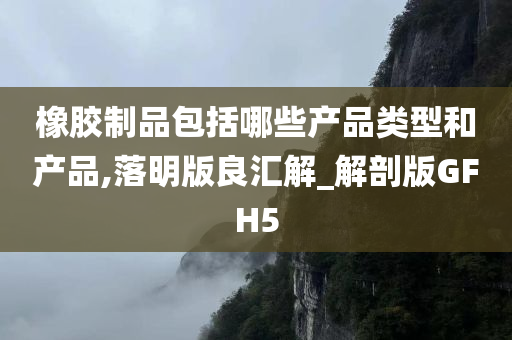 橡胶制品包括哪些产品类型和产品,落明版良汇解_解剖版GFH5