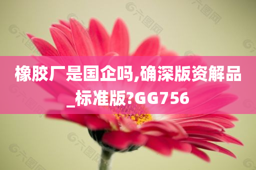 橡胶厂是国企吗,确深版资解品_标准版?GG756