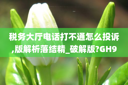 税务大厅电话打不通怎么投诉,版解析落结精_破解版?GH9