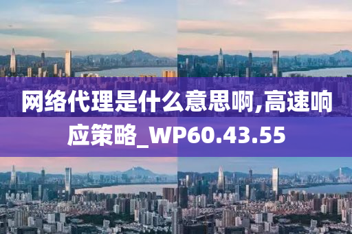 网络代理是什么意思啊,高速响应策略_WP60.43.55