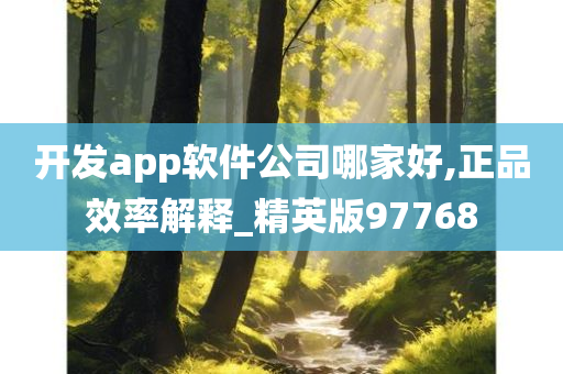 开发app软件公司哪家好,正品效率解释_精英版97768