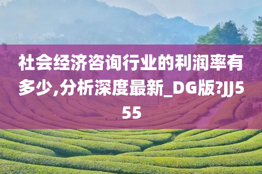 社会经济咨询行业的利润率有多少,分析深度最新_DG版?JJ555