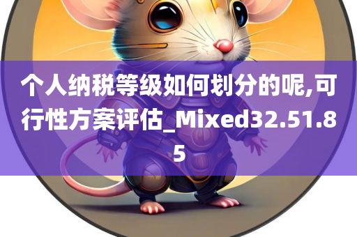 个人纳税等级如何划分的呢,可行性方案评估_Mixed32.51.85