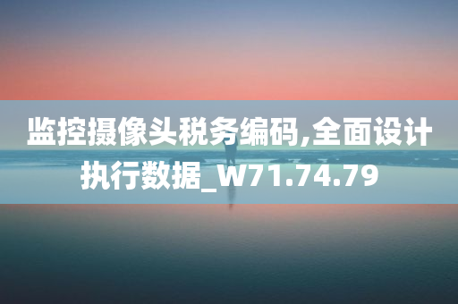 监控摄像头税务编码,全面设计执行数据_W71.74.79