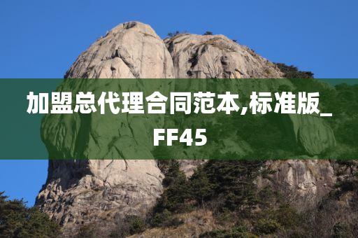 加盟总代理合同范本,标准版_FF45