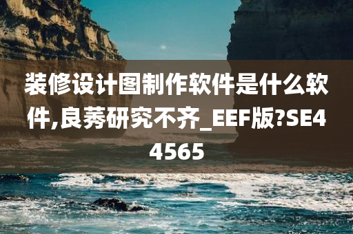 装修设计图制作软件是什么软件,良莠研究不齐_EEF版?SE44565