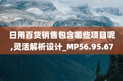 日用百货销售包含哪些项目呢,灵活解析设计_MP56.95.67