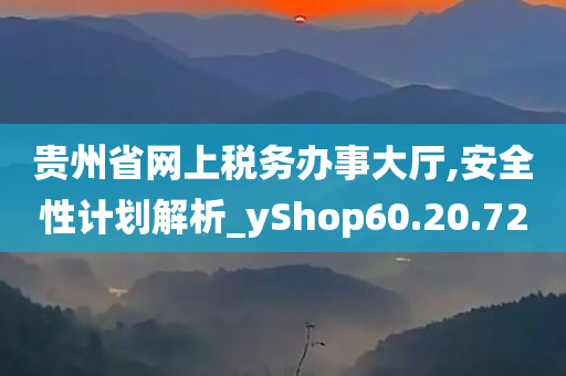 贵州省网上税务办事大厅,安全性计划解析_yShop60.20.72