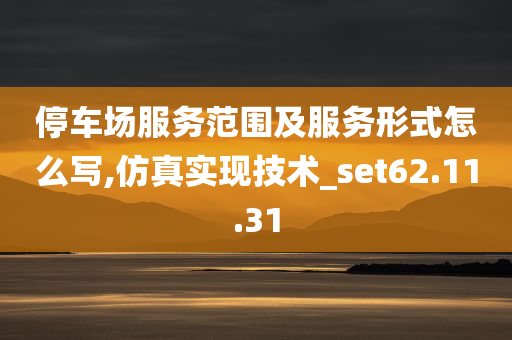 停车场服务范围及服务形式怎么写,仿真实现技术_set62.11.31