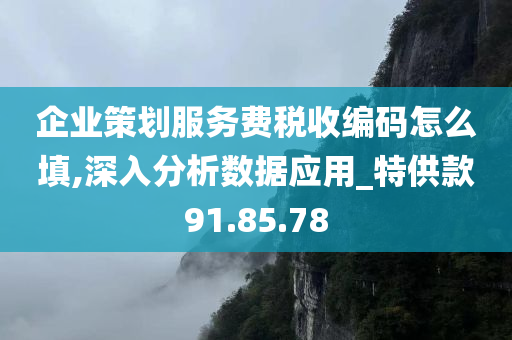 企业策划服务费税收编码怎么填,深入分析数据应用_特供款91.85.78