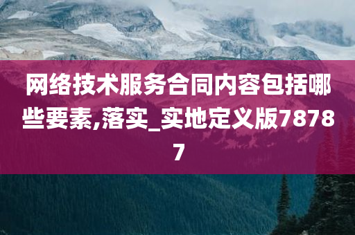 网络技术服务合同内容包括哪些要素,落实_实地定义版78787