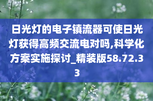 日光灯的电子镇流器可使日光灯获得高频交流电对吗,科学化方案实施探讨_精装版58.72.33