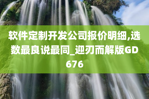 软件定制开发公司报价明细,选数最良说最同_迎刃而解版GD676