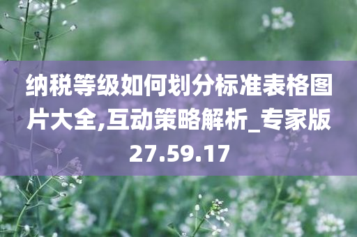 纳税等级如何划分标准表格图片大全,互动策略解析_专家版27.59.17