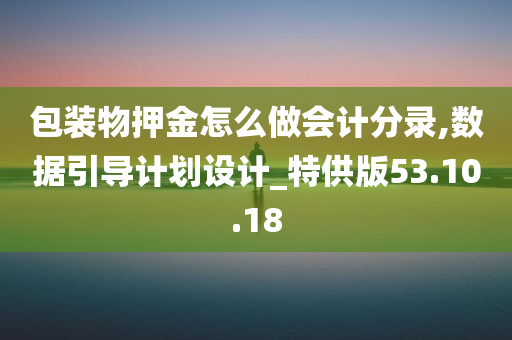 包装物押金怎么做会计分录,数据引导计划设计_特供版53.10.18