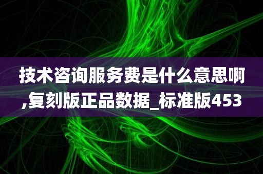 技术咨询服务费是什么意思啊,复刻版正品数据_标准版453