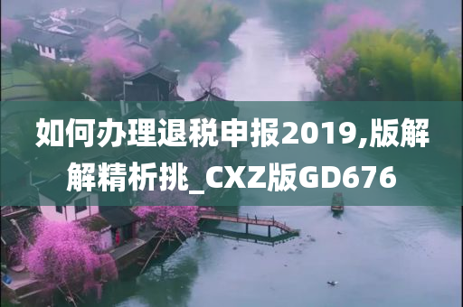 如何办理退税申报2019,版解解精析挑_CXZ版GD676