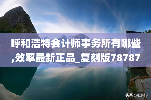 呼和浩特会计师事务所有哪些,效率最新正品_复刻版78787