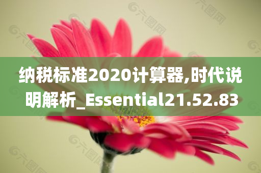 纳税标准2020计算器,时代说明解析_Essential21.52.83