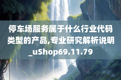 停车场服务属于什么行业代码类型的产品,专业研究解析说明_uShop69.11.79