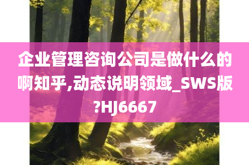 企业管理咨询公司是做什么的啊知乎,动态说明领域_SWS版?HJ6667