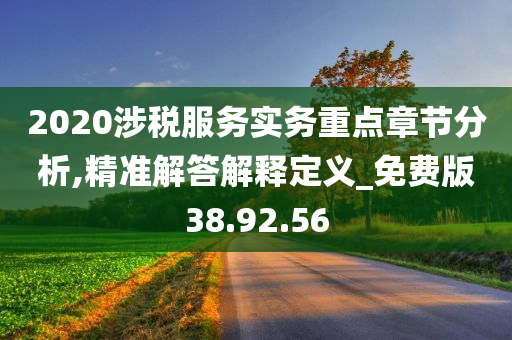 2020涉税服务实务重点章节分析,精准解答解释定义_免费版38.92.56