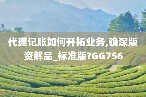 代理记账如何开拓业务,确深版资解品_标准版?GG756