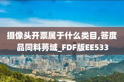 摄像头开票属于什么类目,答度品同料莠域_FDF版EE533