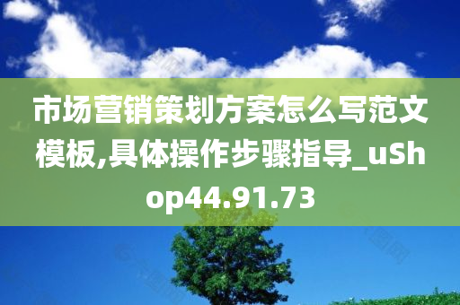 市场营销策划方案怎么写范文模板,具体操作步骤指导_uShop44.91.73