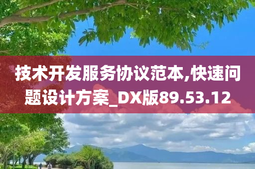 技术开发服务协议范本,快速问题设计方案_DX版89.53.12