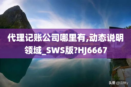 代理记账公司哪里有,动态说明领域_SWS版?HJ6667